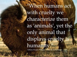when-humans-act-with-cruelty-we-characterize-them-as-animals-yet-the-only-animal-that-displays-cruelty-is-humanty-animal-quote